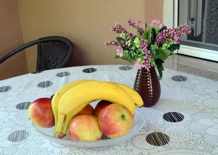 Jadran פאקוסטאן