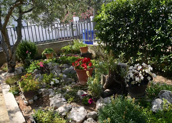 Jadran * פאקוסטאן